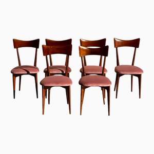 Stühle von Ico Parisi, 1960er, 6er Set