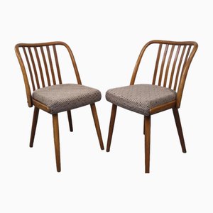 Dining Chairs by Jiton Sobeslav, Former Czechoslovakia, 1960s, Set of 4