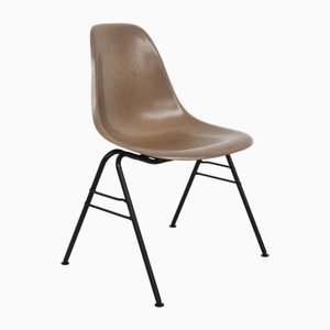 DSX Stacking Chair in Taupe Fiberglass by Charles & Ray Eames for Herman Miller, USA, 1954