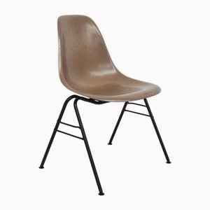 Sedia impilabile DSX in fibra di vetro color talpa di Charles & Ray Eames per Herman Miller, USA, 1954