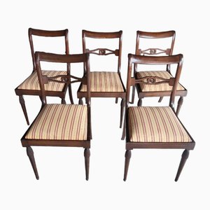 Spanish Mahogany Chairs, Set of 5