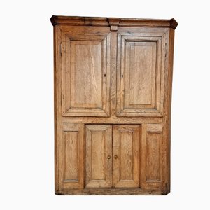 Panel para muebles de puerta de armario de roble, siglo XIX