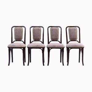 Art Noveau Bentwood Chairs from Thonet, 1905, Set of 4