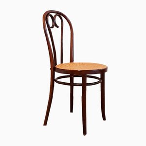 Sedie nr. 16 in legno curvato di Michael Thonet, Romania, anni '70, set di 6