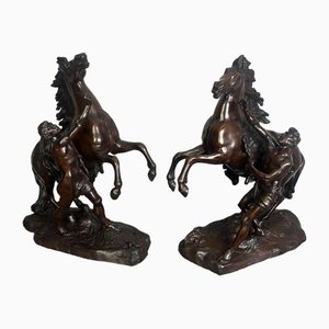 Coustou, Marley Horses, XIX secolo, Bronzi, set di 2