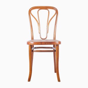 Jugendstil Stuhl Nr.623 von Michael Thonet für Thonet, 1900er