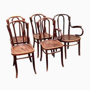 Cafe Chairs Jacob and Josef Kohn, 1920s, Set of 5