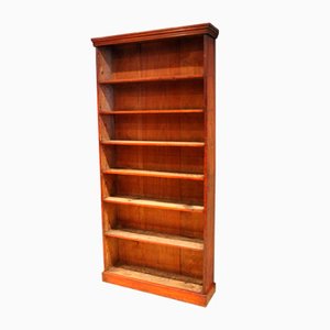 Mid Victorian Tall Rustic Pine Open Bookcase