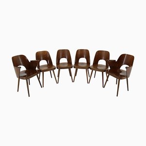 Dining Chairs attributed to Oswald Haerdtl for Ton, Former Czechoslovakia, 1960s, Set of 6