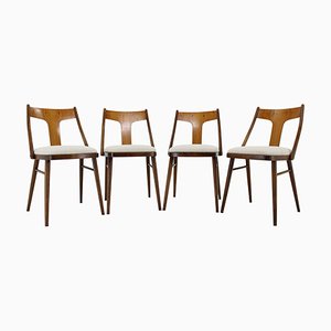 Dining Chairs in Walnut Finish, Former Czechoslovakia, 1950s, Set of 4