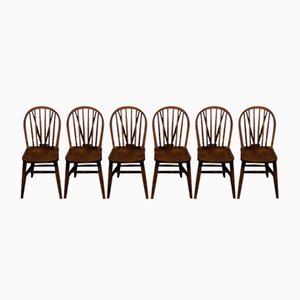 Antique Windsor Dining Chairs, 1890s, Set of 6