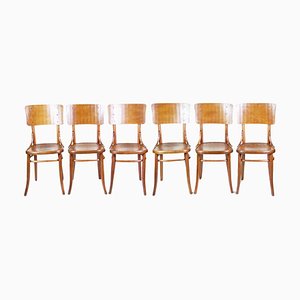 No. 157 Chairs attributed to Thonet, 1920s, Set of 6