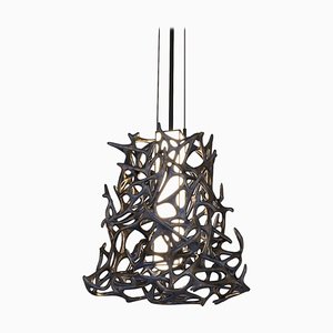 Morphogen Pendant Lamp by John Brevard