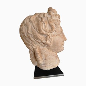 Classic Head, 20th Century, Terracotta