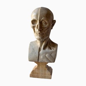 Sculpture Anatomique, Début du XXe Siècle, Marbre