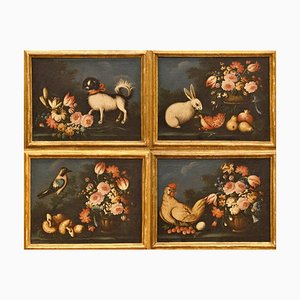 Artista de la escuela Emiliana, Naturaleza muerta con animales y flores, siglo XVII, óleo sobre lienzos, Juego de 4