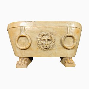 Bagno dei leoni in marmo, epoca romana, XVIII secolo