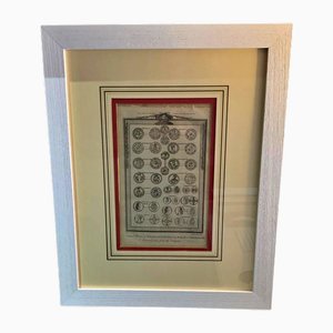 English Artist, New Collection of English Coins, 19th Century, Print, Framed