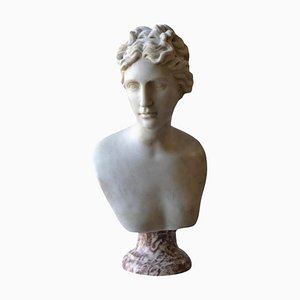 Italian Artist, Venere Medici Head, Early 20th Century, Marble