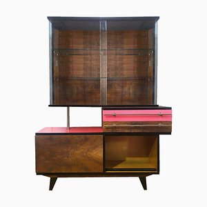 Polnischer Vintage Schrank, 1960er