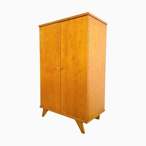 Vintage Danish Two-Door Wardrobe, 1960s