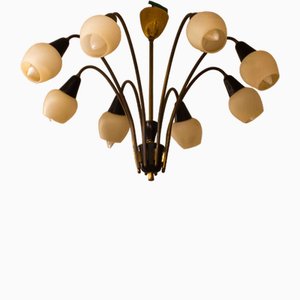 Italian Spider Chandelier in Black and Brass, 1960s