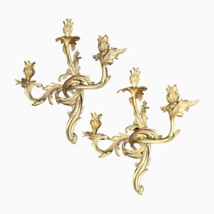 Louis XV Bronze Sconces, Set of 2