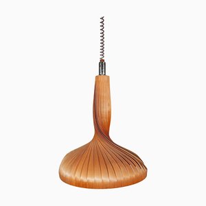 Natürliche Holzlampe von Hans-Agne Jakobsson für Ab Ellysett Markaryd, Schweden, 1959