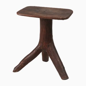 Wooden Stool with Tree Branch Legs, France, 1850s