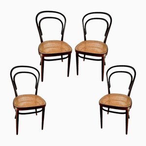 Chaises Coffee House Modèle 214 par Michael Thonet, Set de 4