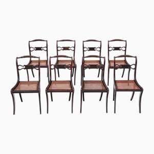 Chaises de Salle à Manger Regency en Faux Palissandre, 19ème Siècle, Set de 8