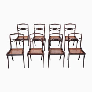 Regency Faux Rosewood Dining Chairs, 19th Century, Set of 8