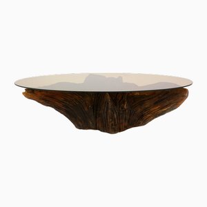 Mid-Century Tree Root Coffee Table with Glass Top, 1960s