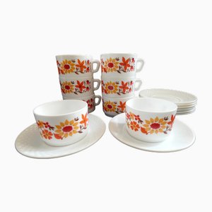 Tee- oder Kaffeeservice von Arcopal, Frankreich, 1970er, 16 Set