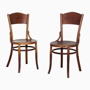 Dining Chairs from Fischel, 1890s, Set of 2