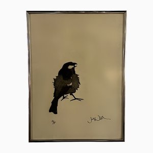 Julian Williams, The Bad Tempered Sparrow Artist's Proof, Etching, 1982, Framed