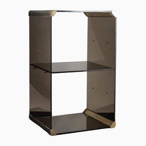 Cabinet in Smoked Tempered Glass and Brass-Plated Metal with Mirror by Pierangelo Gallotti for Gallotti e Radice, 1970s