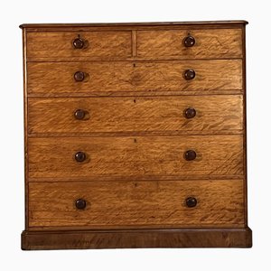 Chest of Drawers from Heal and Sons