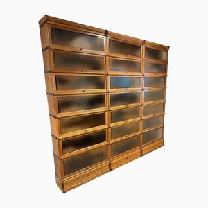 Large Bookcase from Globe Wernicke, Set of 21