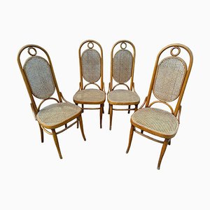 Sedie antiche di Thonet, 1900, set di 4