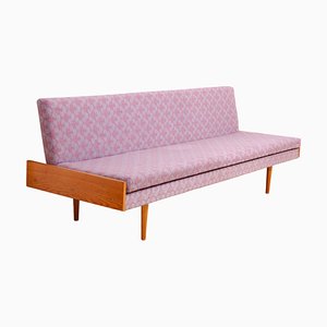 Mid-Century Czechoslovakian Folding Sofabed, 1960s