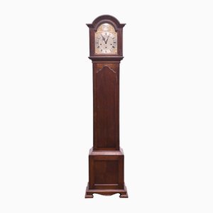 Grandfather Clock Tempus Fugit in Oak, 1920s