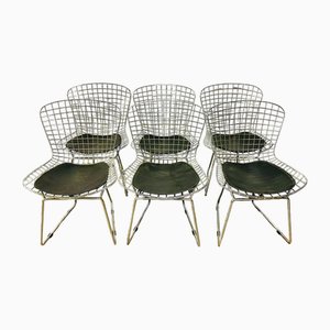 Sedie Wire di Harry Bertoia per Knoll, set di 6