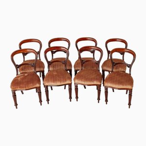 Victorian Balloon Back Dining Chairs in Mahogany, 1850s, Set of 8