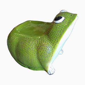 Frog on Seat by Enio Ceccarelli