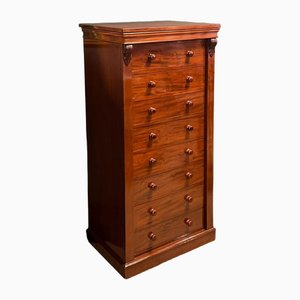 Victorian Mahogany Wellington Chest, 1860s