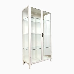 Armoire Médicale en Fer et Verre, 1960s