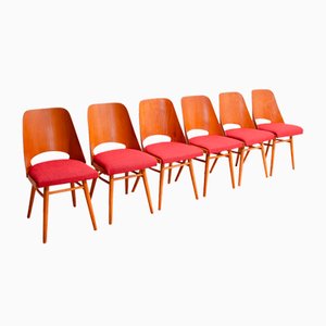 Mid-Century Dining Chairs by Radomír Hofman, 1960s, Set of 6
