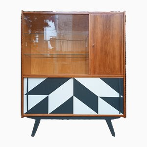 Vintage Polish Bookcase with Op Art Motif, 1960