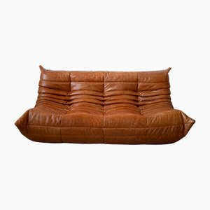 Pine Leather Togo 3-Seater Sofa by Michel Ducaroy for Ligne Roset